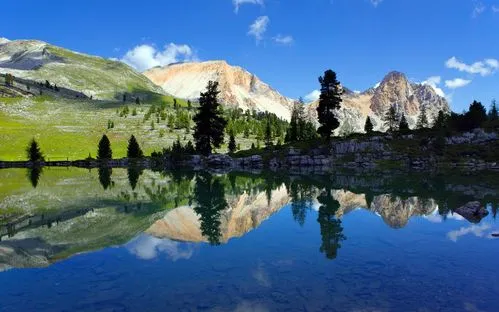 自动化高精度